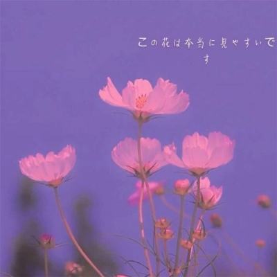 pg模拟器试玩入口手机版